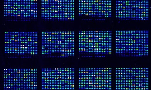 dna microarrays