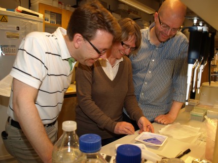Martin L Olsson, Maria Allhorn och Mattias Collin studerar resultat på labbet