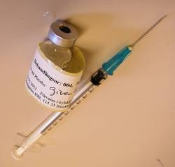 diabetesvaccin