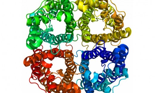 tredimensionell bild av proteinet Aquaporin
