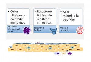 Orsaker atopiskt eksem