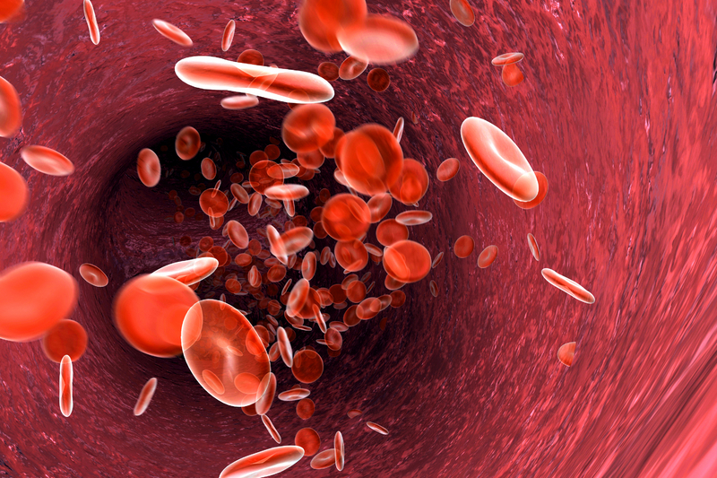 Blodceller i blodkärl