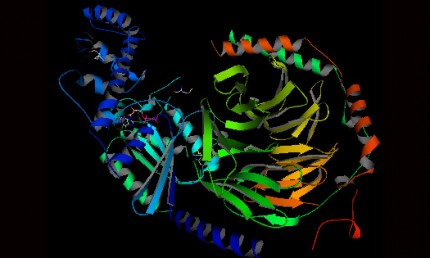 proteinstruktur