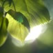 Foto: Dreamstime