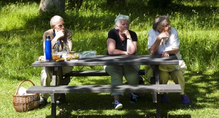 Äldre kvinnor på parkbänk