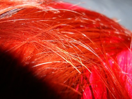 rött hår