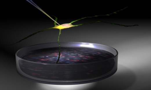 illustration av cellodlingsskål med en nervcell över