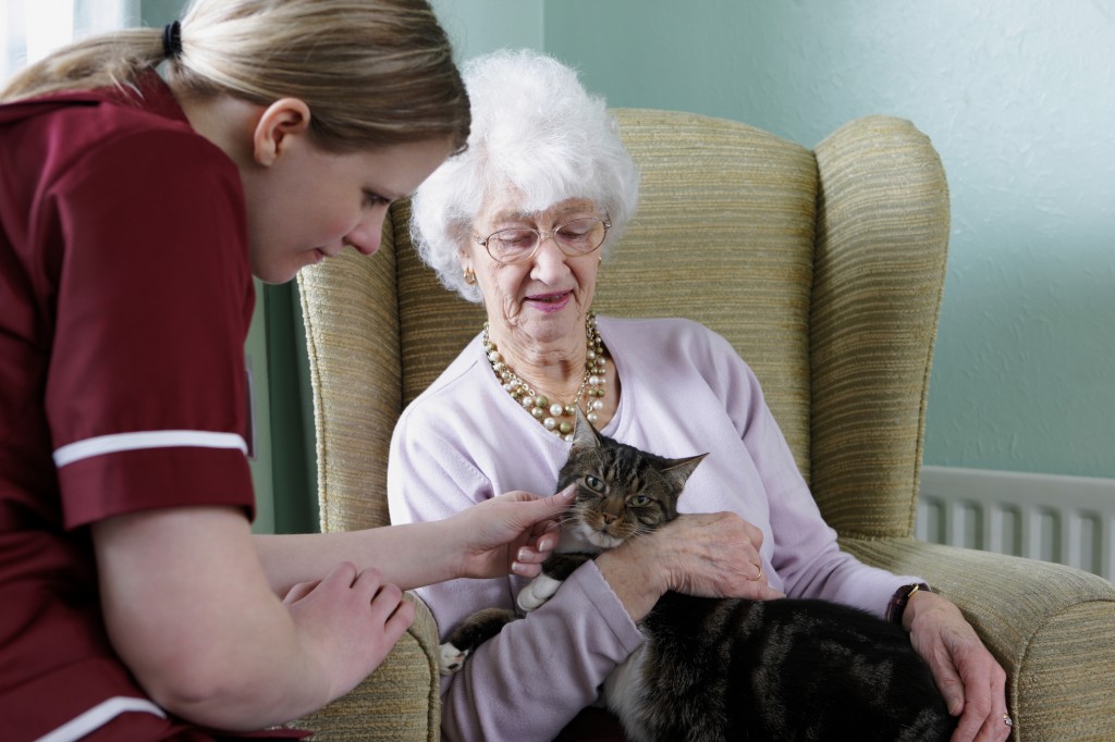 Äldre patient med vårdpersonal och katt