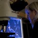 ”Vakthundsceller” som bara väntar på att explodera
