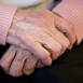 Söker mat som dämpar äldres inflammationer