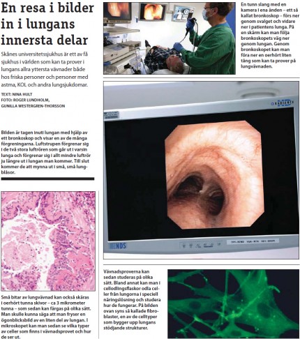 en resa i bilder in i lungans innersta delar