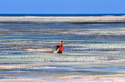 zanzibar_matthias zirnbigl_flickr