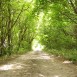 Sandblomdagen 2011 – tema DÖDEN