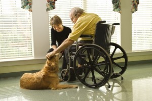vårdhund och boende inom äldreomsorgen