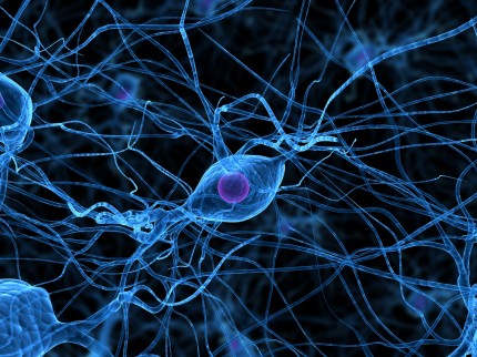illustration av nervceller