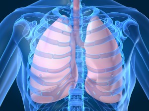 Illustration av lungor