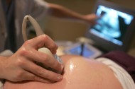 ultraljud gravid mage
