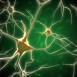Nya måltavlor för celltransplantationer vid Parkinsons