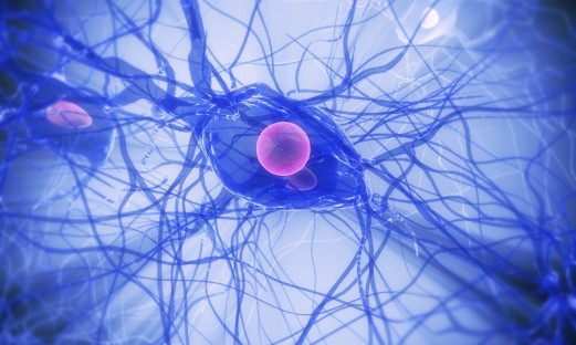 Illustration av nervcell