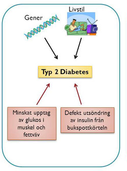 Diabetes och livsstil