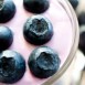 Blåbär med ”goda bakterier” dundermedicin för magen