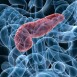 Protein kan förklara bukspottkörtel- inflammation