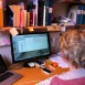 Nytt Parkinsonregister ska ge jämlik vård