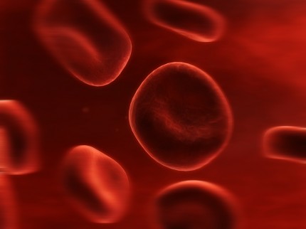 illustration av röda blodkroppar