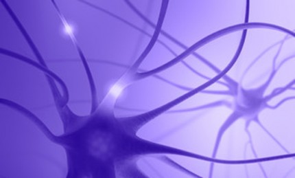 Illustration nervceller