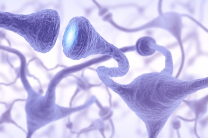 Illustration av synapser som är kontaktpunkter mellan hjärnans nervceller