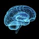 Alzheimersforskare har identifierat viktig länk