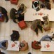 Vetenskapsluncher – en ny serie om medicinsk forskning!