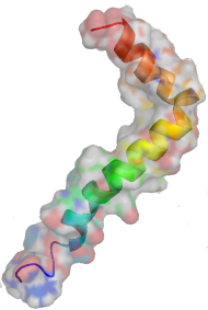 Amyloid-beta