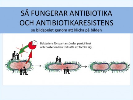 bild antibiotikaresistens