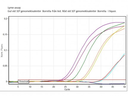 Borrelia-PCR