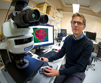 För två år sedan lämnade Kristian Pietras Karolinska Institutet för Lund, dit han lockades av möjligheten att bygga upp en helt ny verksamhet på Medicon Village. Foto: Gunnar Menander