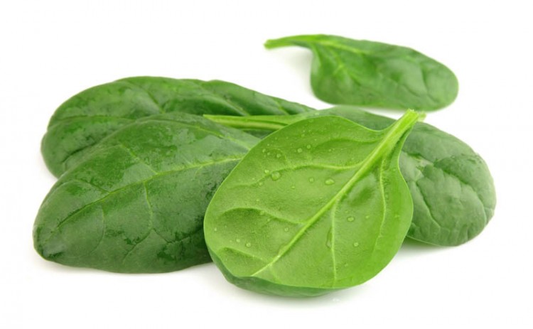 Fresh spinach