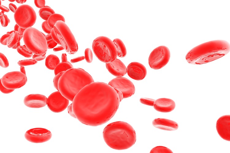 Red blood cells isolated on white