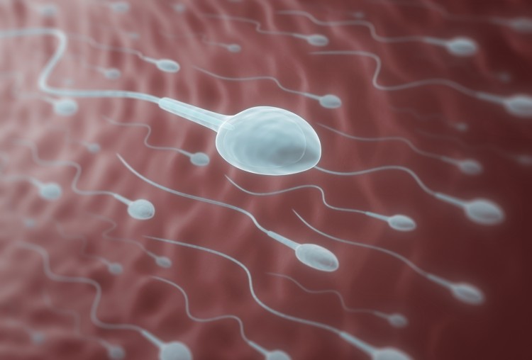 illustration av spermier