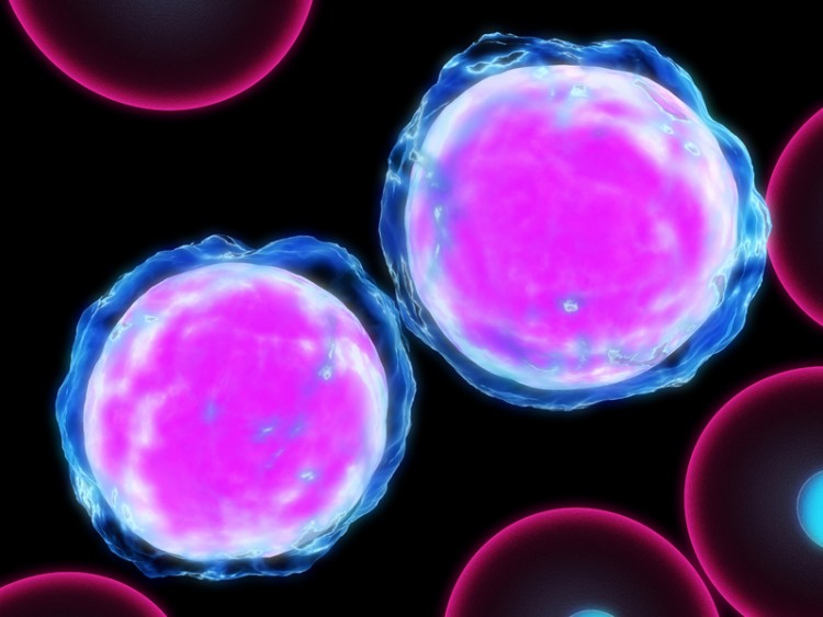 3d rendered illustration of leukemia cells_dreamstime_2835973