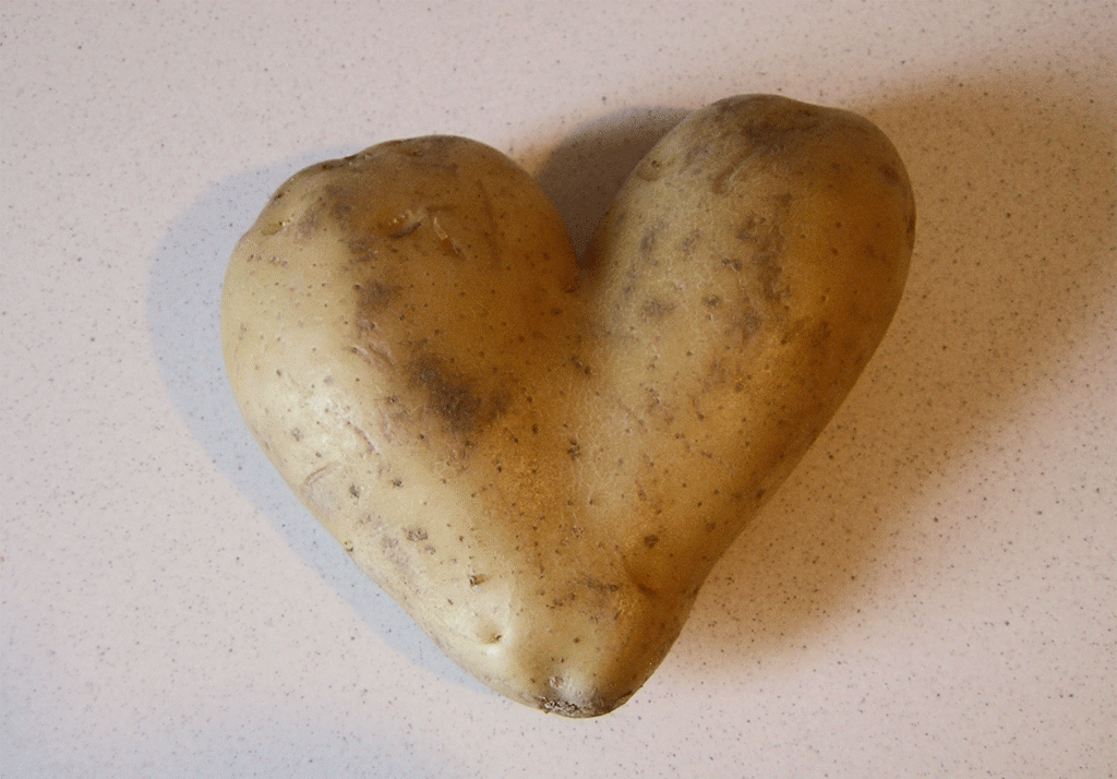 potatis