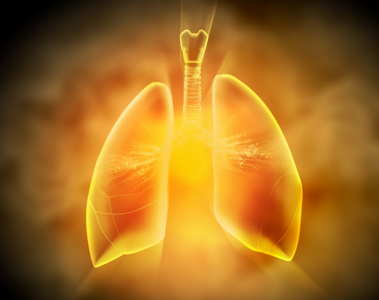 Schematic illustration of human lungs with the different elements on a colored background. Collage.