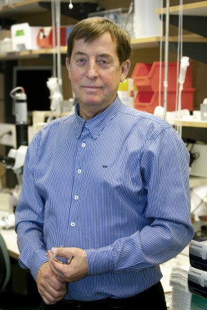 Lars Edvinsson professor