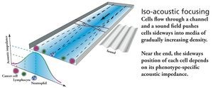 csm_IAF_schematic_db9ca8ec4a