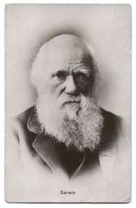 Bilden föreställer Charles Darwin