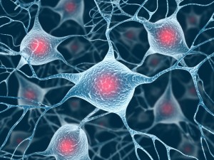 Protein försvarar hjärnan vid Parkinsons sjukdom
