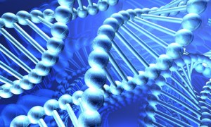 DNA