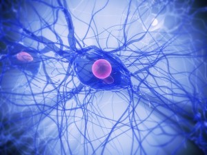 Ny upptäckt underlättar jakten på metoder för att begränsa Alzheimers sjukdom