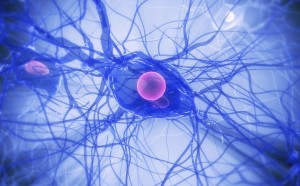 Återställer nervcellsfunktion för huntington