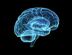 Med siktet på nya behandlingar av Parkinsons sjukdom